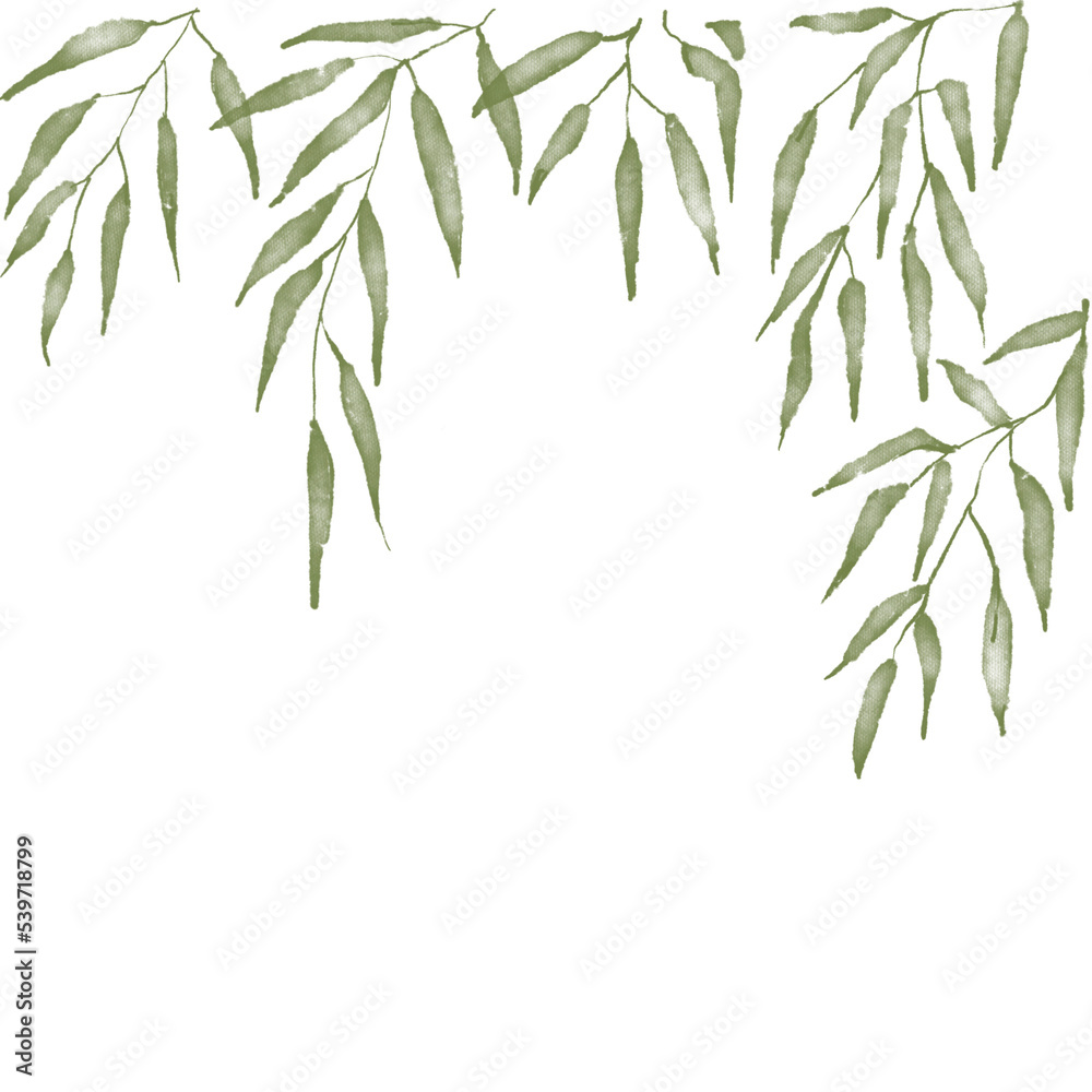 Fototapeta premium Leaf Elements and illustration
