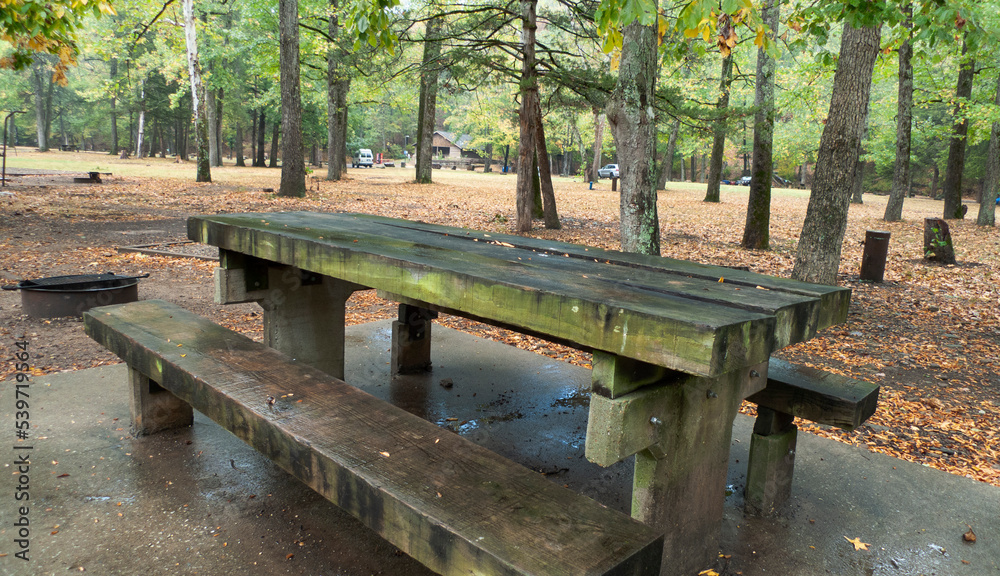 Devils Den State Park, Arkansas, wooded picnic table in the campground Devils Den State Park, Arkansas, wooded picnic table in the campground