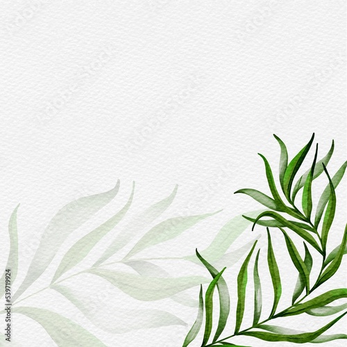 green leaves background