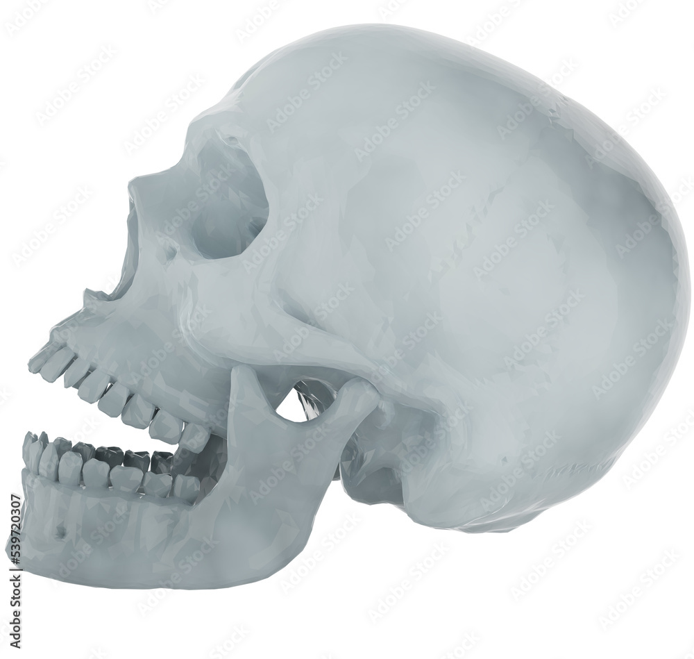 Obraz premium 3D Skull Low Poly Render Transparent Background