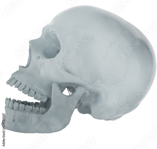 3D Skull Low Poly Render Transparent Background