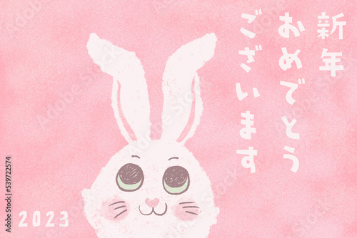 2023 New Year's card. Hand drawn illustration of rabbit. Happy new year.