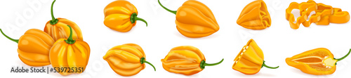 Set with whole, half, quarter, slices, and wedges of yellow habanero chili peppers. Capsicum chinense. Hot chili pepper. Fresh organic vegetables. Vector illustration isolated on white background. photo