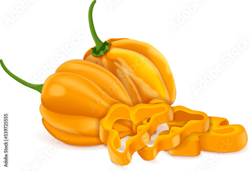 Whole, slices, and wedges of yellow habanero chili peppers. Capsicum chinense. Heat chili pepper. Fresh organic vegetables. Vector illustration isolated on white background.