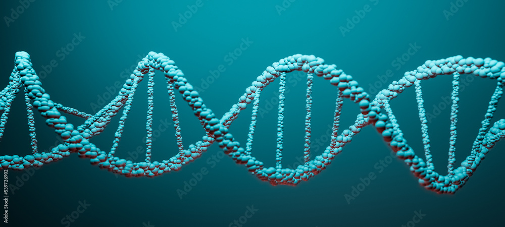 DNA Deoxyribonucleic acid, structure of double helix molecule, Polynucleotide chains, atoms, strands of human genetic structure 3D model illustration