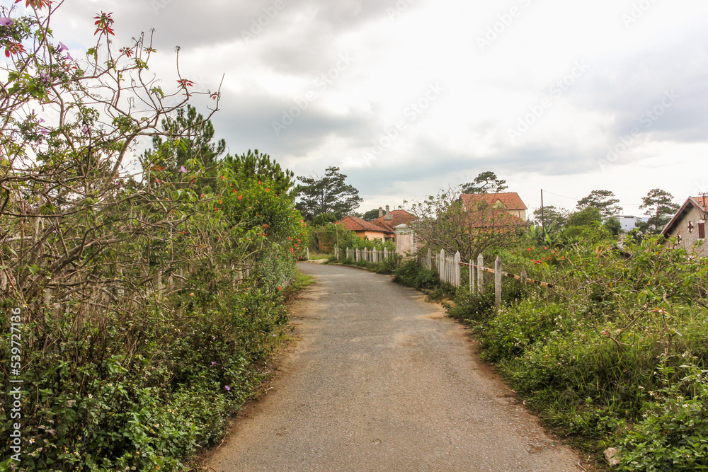 A rural road leading through a wild countryside in the hills around the highland town of Dalat.