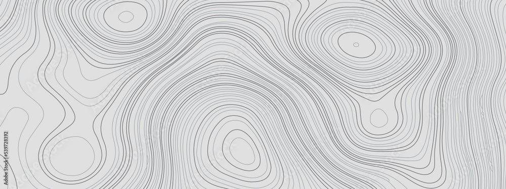 White and gray abstract topographic map contour, lines Pattern background. Topographic map and landscape terrain texture grid. Wavy banner and color geometric form. Vector illustration White and gray abstract topographic map contour, lines Pattern background. Topographic map and landscape terrain texture grid. Wavy banner and color geometric form. Vector illustration