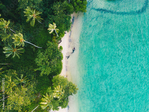 Tropical palm trees on the sandy beach and turquoise ocean from above.