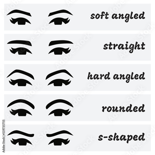 Eyebrows shapes Set. Various types of eyebrows. Makeup tips. Eyebrow shaping for women.Different thickness of brows.