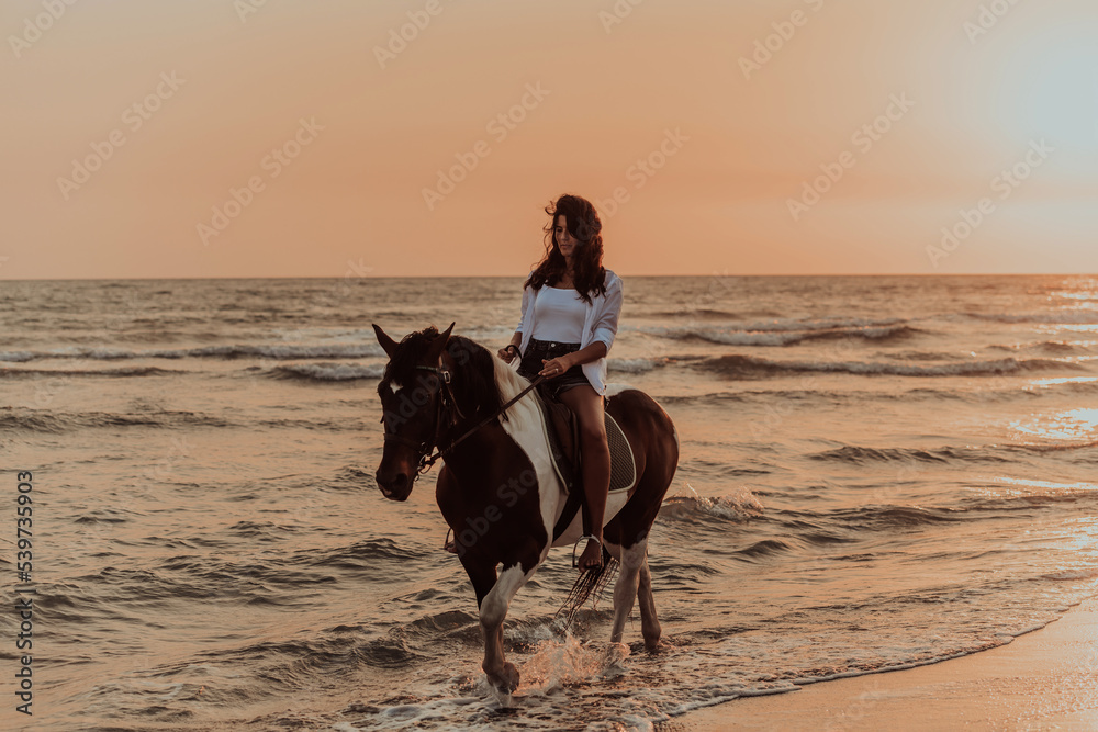 Woman in summer clothes enjoys riding a horse on a beautiful sandy beach at sunset. Selective focus Woman in summer clothes enjoys riding a horse on a beautiful sandy beach at sunset. Selective focus