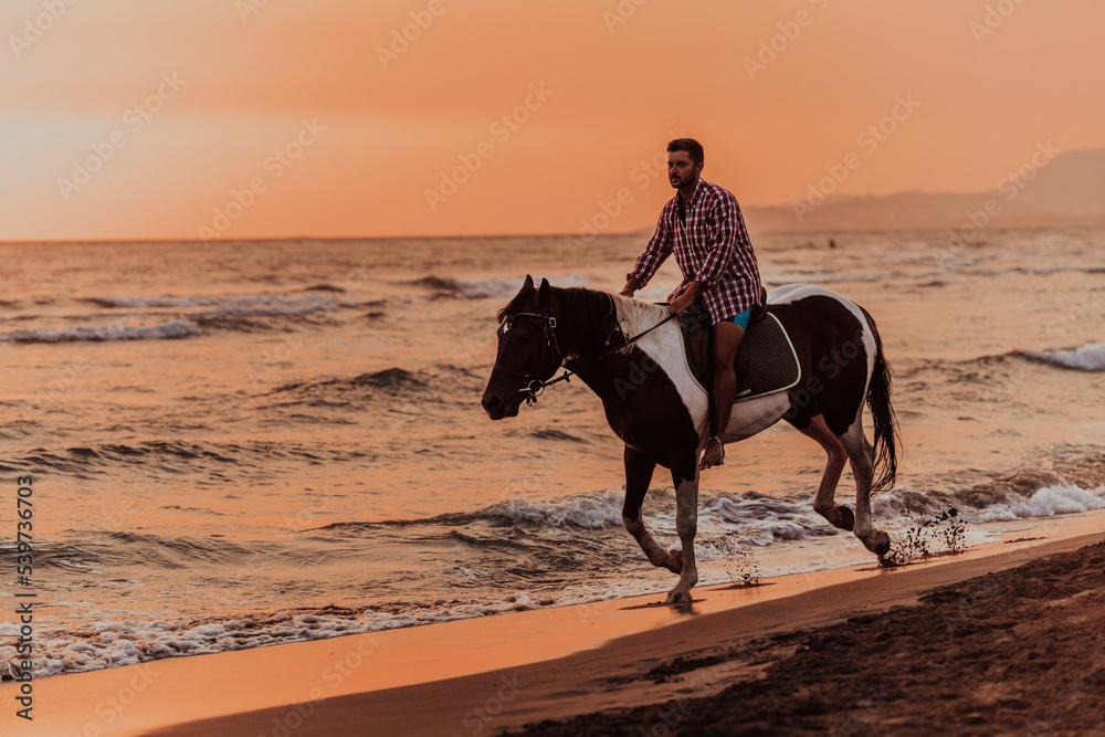 A modern man in summer clothes enjoys riding a horse on a beautiful sandy beach at sunset. Selective focus A modern man in summer clothes enjoys riding a horse on a beautiful sandy beach at sunset. Selective focus
