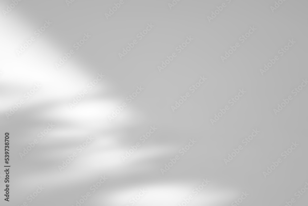 Shadow overlay effect on white background. Abstract sunlight background with organic shadows from plants, leaves, and branches. Shadow overlay effect on white background. Abstract sunlight background with organic shadows from plants, leaves, and branches.