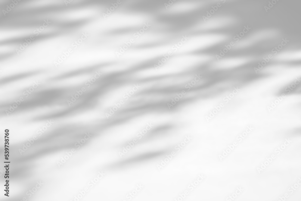 Fototapeta premium Shadow overlay effect on white background. Abstract sunlight background with organic shadows from plants, leaves, and branches.