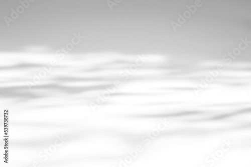 Shadow overlay effect on white background. Abstract sunlight background with organic shadows from plants, leaves, and branches.