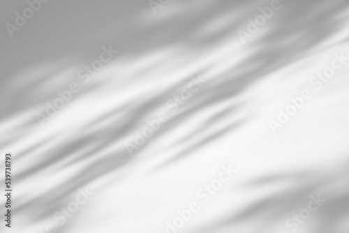 Shadow overlay effect on white background. Abstract sunlight background with organic shadows from plants, leaves, and branches.