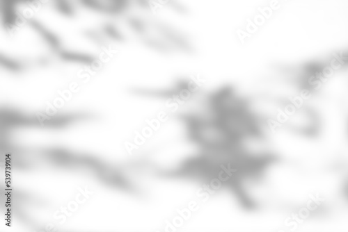 Shadow overlay effect on white background. Abstract sunlight background with organic shadows from plants, leaves, and branches.