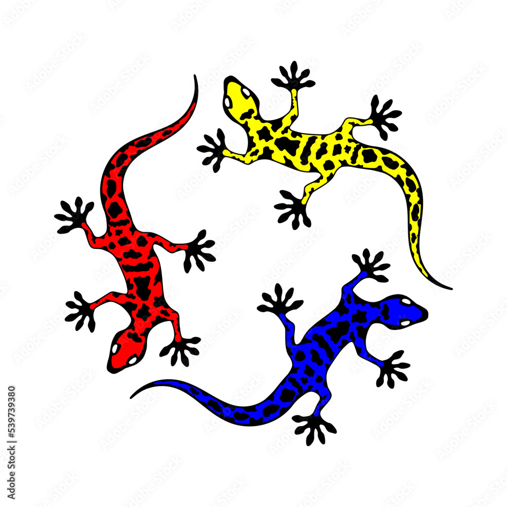 Vector drawing of a lizard. Red Gecko, Blue gecko, Yellow gecko