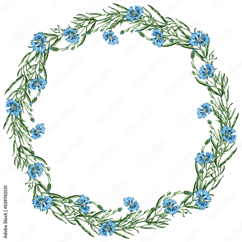 Decorative floral wreath from drawn blue wild cornflowers