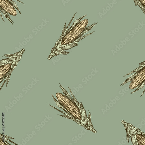 Seamless pattern of sketches of ripe corn cobs