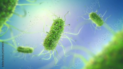 Animation of pathogenic Salmonella bacteria. Salmonella infection (Salmonellosis) is usually caused by contaminated food or water photo