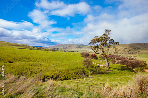 Landscape Near Ouse in Tasmania Australia