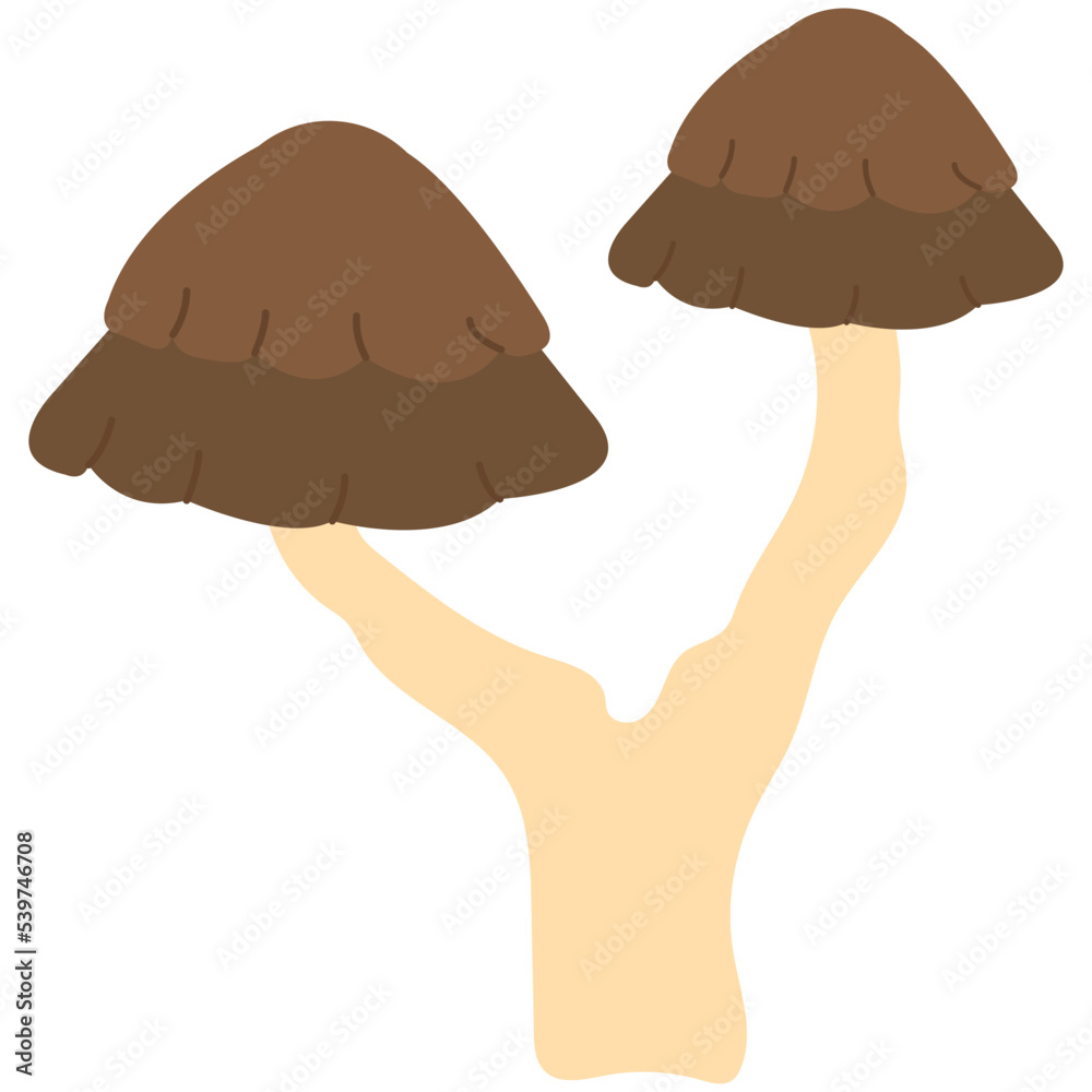 Mushroom Shapes