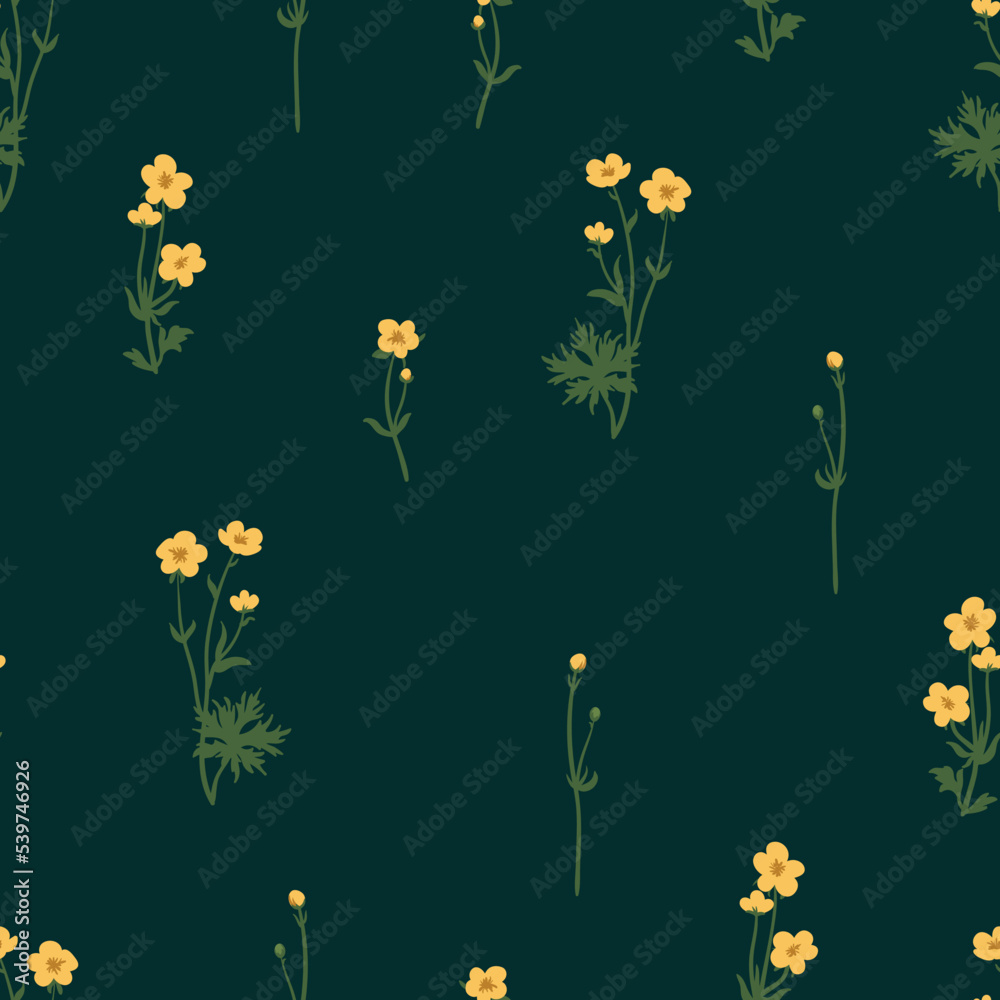 Buttercups vector seamless pattern. Summer yellow wildflowers floral background.