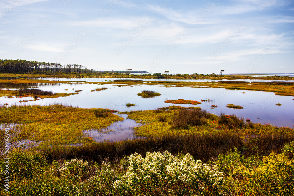 Atlantic Coast Marsh in Autumn