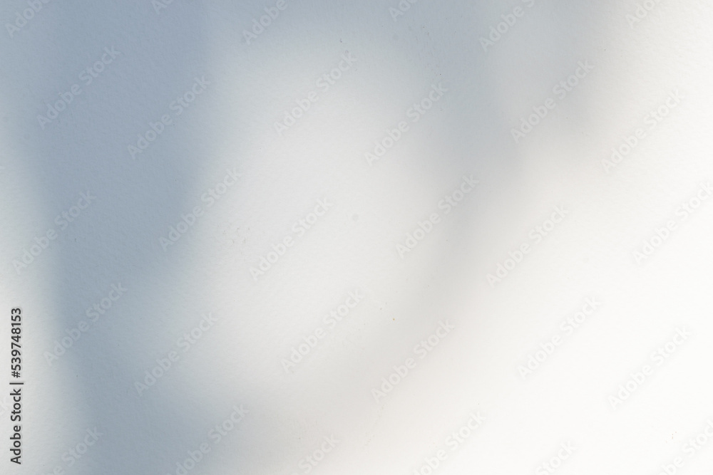 sunlight shadow on the surface beautiful abstract white wall background sunlight shadow on the surface beautiful abstract white wall background