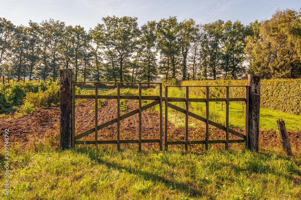 Simple iron gate between two wooden beams. The gate is in front of a small allotment complex in the outskirts of the Dutch city of Breda, in the province of North Brabant. It's autumn now.