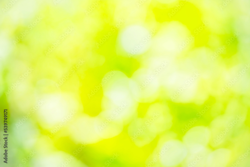 Obraz premium Green background