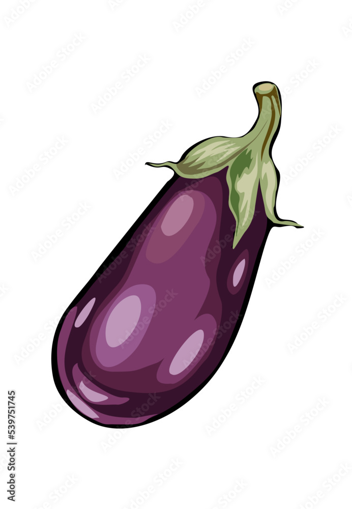 Coloring Pages  Brinjal Eggplant Coloring