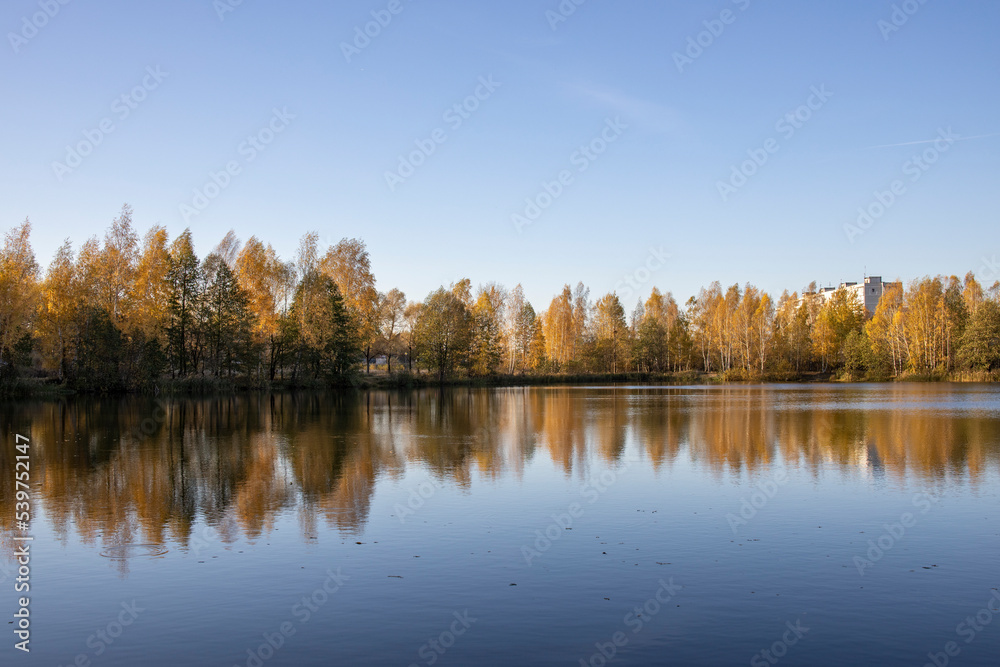 Autumn landscape with a pond. Trees with yellow foliage are reflected in the water.