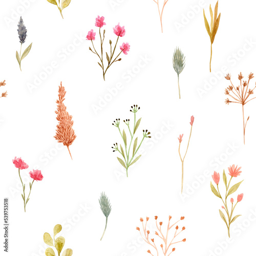 Seamless pattern of watercolor dried flowers, isolated on white background. Hand drawn painted flower illustration. Autumn design fashion fabric, textile, cover, wrapping paper product, blog, cloth © Anastasia