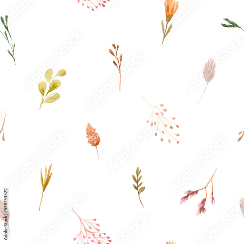 Seamless pattern of watercolor dried flowers, isolated on white background. Hand drawn painted flower illustration. Autumn design fashion fabric, textile, cover, wrapping paper product, blog, cloth