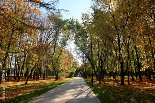 Sunny autumn day in the city park.