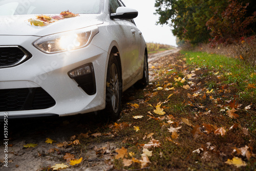 white car on a dirt road strewn with fallen yellow, orange, brown leaves on a cloudy autumn day in the park. Romantic weekend car trip