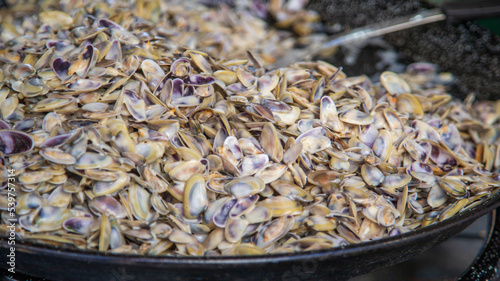 Fototapeta Naklejka Na Ścianę i Meble -  Tellines de Camargue.
