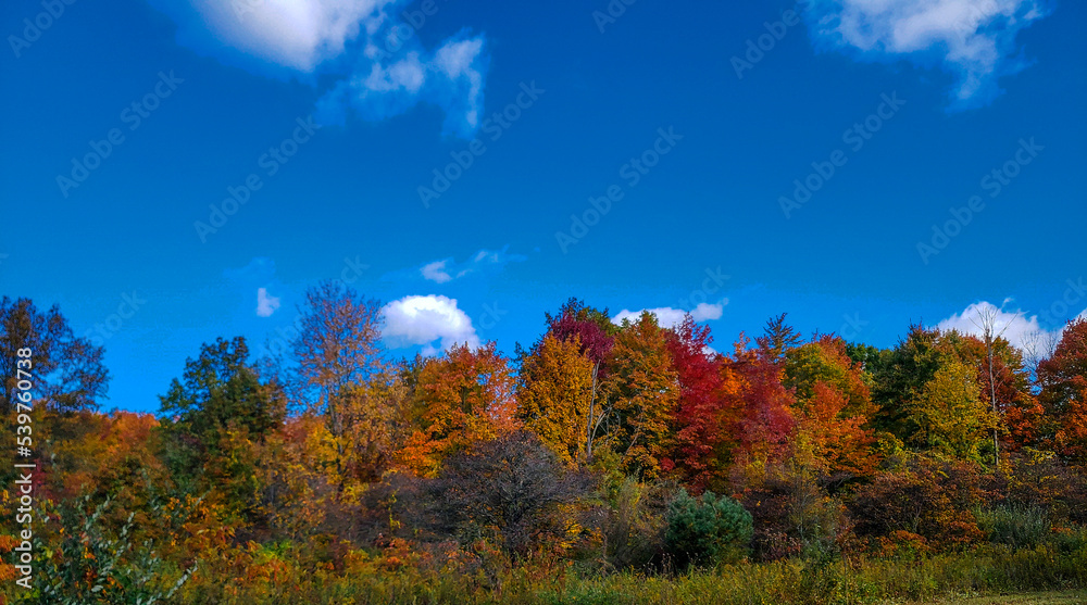 Fall at Blendon Woods Metro Park, Columbus, Ohio Fall at Blendon Woods Metro Park, Columbus, Ohio