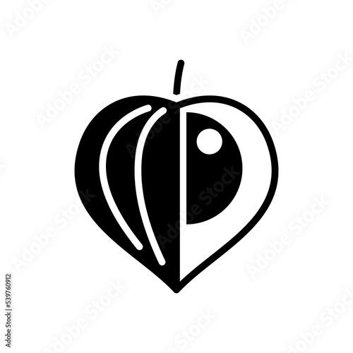 Physalis berries isolated vector glyph icon