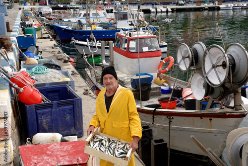 fisherman showing a box of sardines in the fishing port