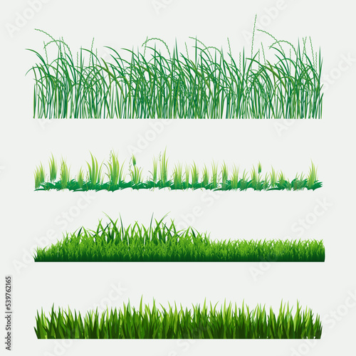 Grass Illustration design bundle