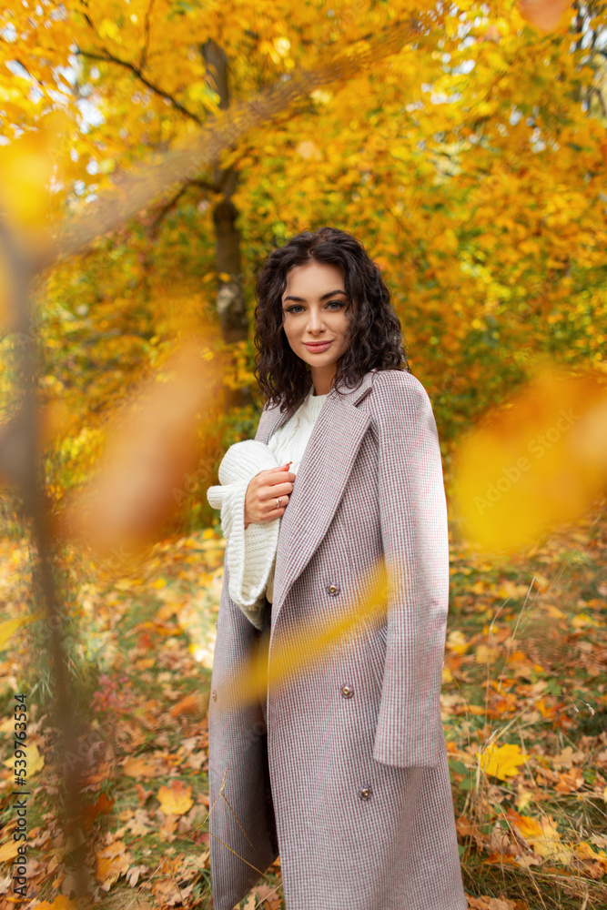 Fashionable beautiful fresh woman with curly hair in a stylish coat with a trendy white knitted sweater walks in a bright fall color park Fashionable beautiful fresh woman with curly hair in a stylish coat with a trendy white knitted sweater walks in a bright fall color park