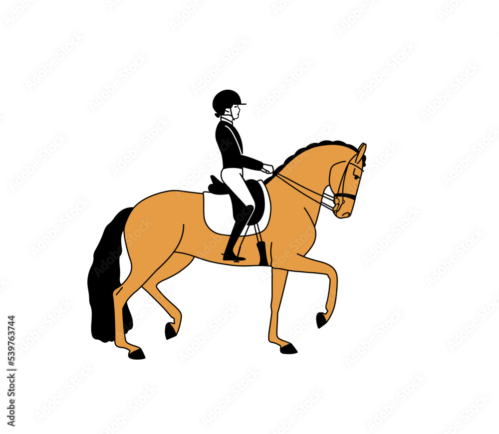 Outline flat illustration of a horsewomen and horse, sport simple drawing.
