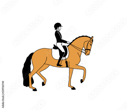 Outline flat illustration of a horsewomen and horse, sport simple drawing.