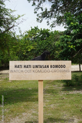 Our vacation in Komodo Island