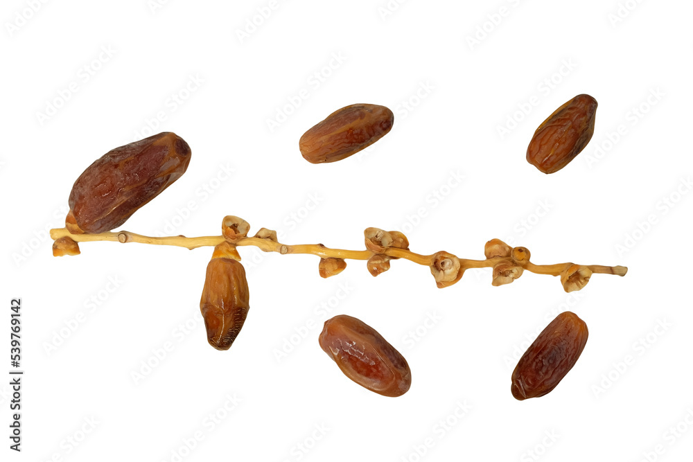 Sweet dates with branches on white background with a clipping path