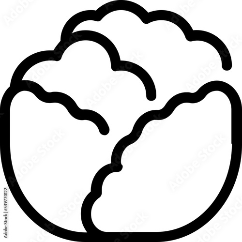 cabbage icon
