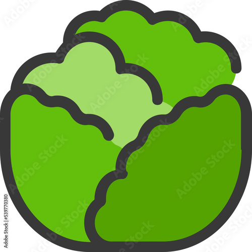 cabbage icon