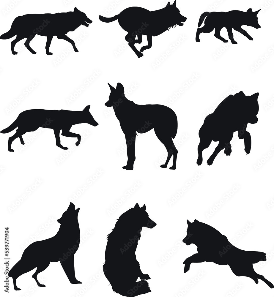 Fototapeta premium silhouettes of dogs premium png